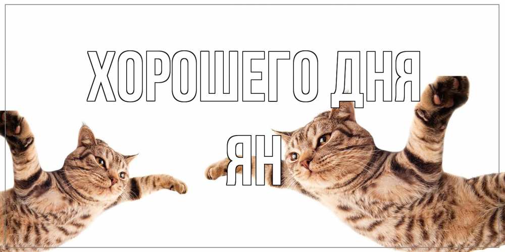 Открытка на каждый день с именем, Ян Хорошего дня хорошего дня Прикольная открытка с пожеланием онлайн скачать бесплатно 