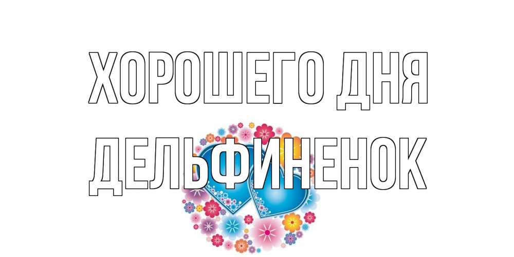 Открытка на каждый день с именем, дельфиненок Хорошего дня пожелания отличного дня Прикольная открытка с пожеланием онлайн скачать бесплатно 
