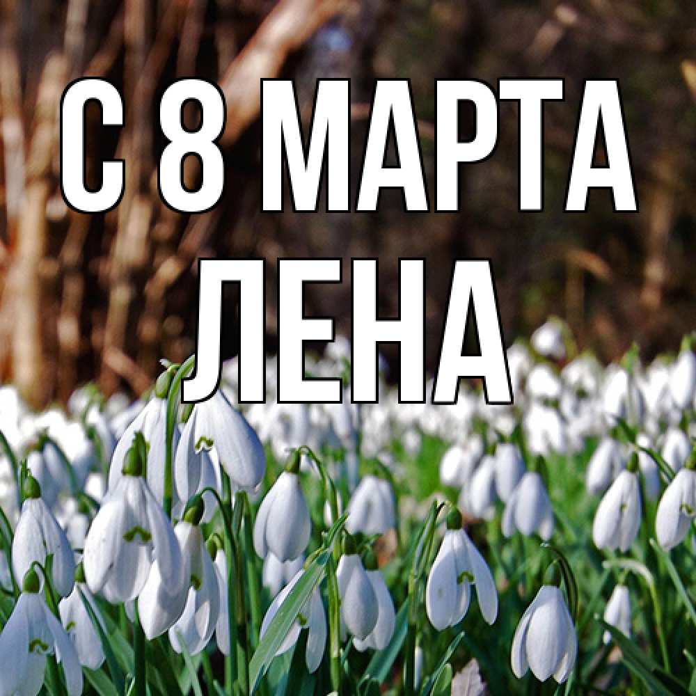 Открытка на каждый день с именем, Лена C 8 МАРТА с подснежниками 1 Прикольная открытка с пожеланием онлайн скачать бесплатно 