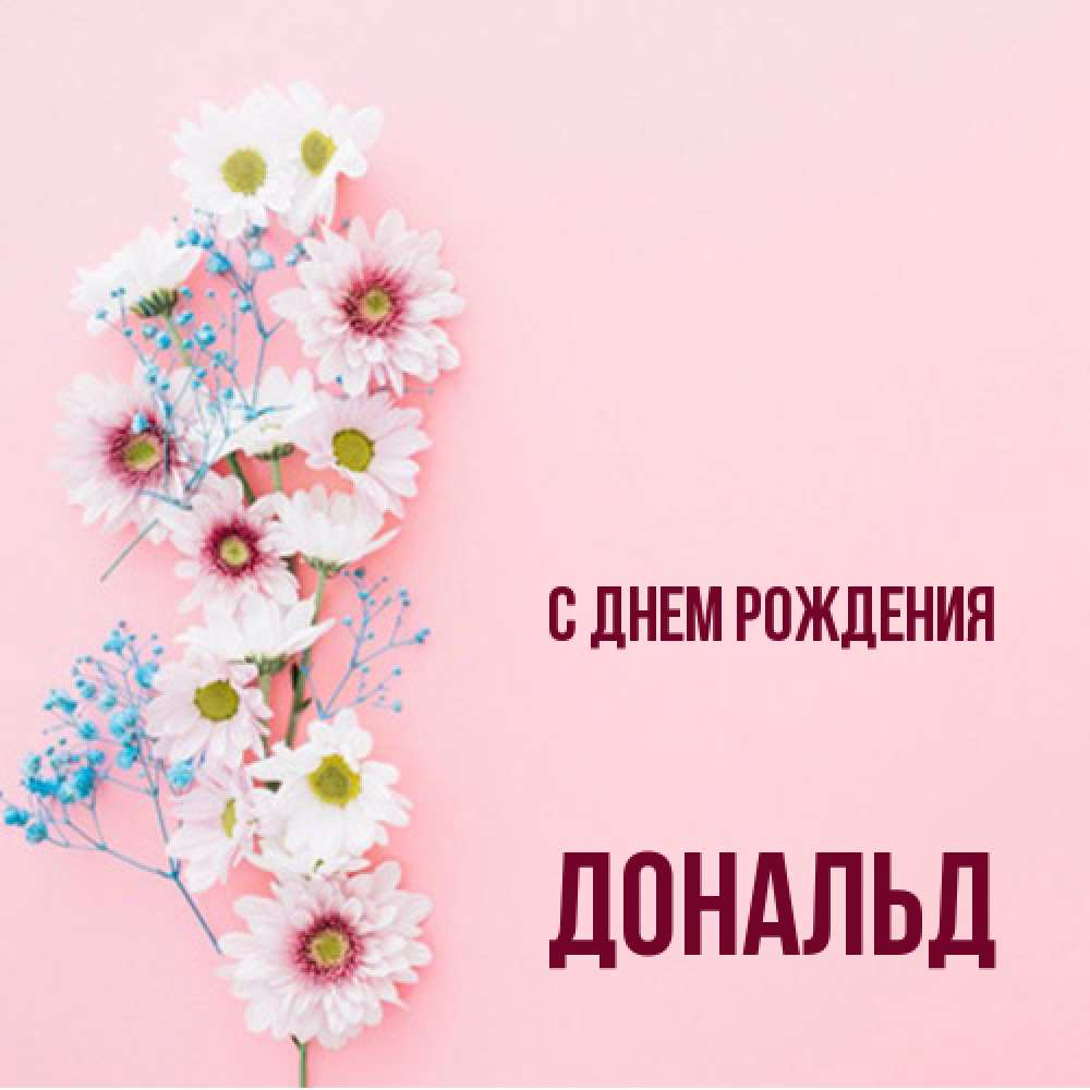 Открытка на каждый день с именем, Дональд С днем рождения Родная моя с днем рождения тебя картинка с цветами белыми и голубыми Прикольная открытка с пожеланием онлайн скачать бесплатно 