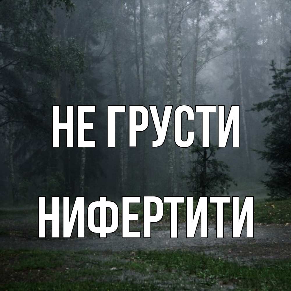 Открытка на каждый день с именем, Нифертити Не грусти осень Прикольная открытка с пожеланием онлайн скачать бесплатно 