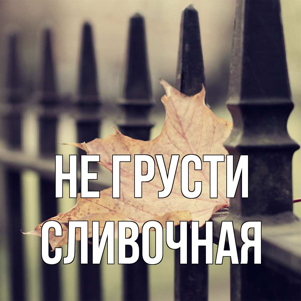 Открытка на каждый день с именем, Сливочная Не грусти лист клена Прикольная открытка с пожеланием онлайн скачать бесплатно 