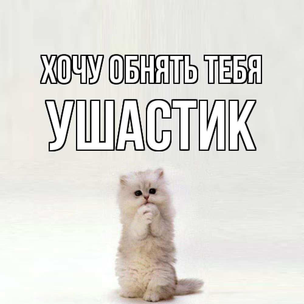 Открытка на каждый день с именем, Ушастик Хочу обнять тебя открытки с креативными подписями Прикольная открытка с пожеланием онлайн скачать бесплатно 