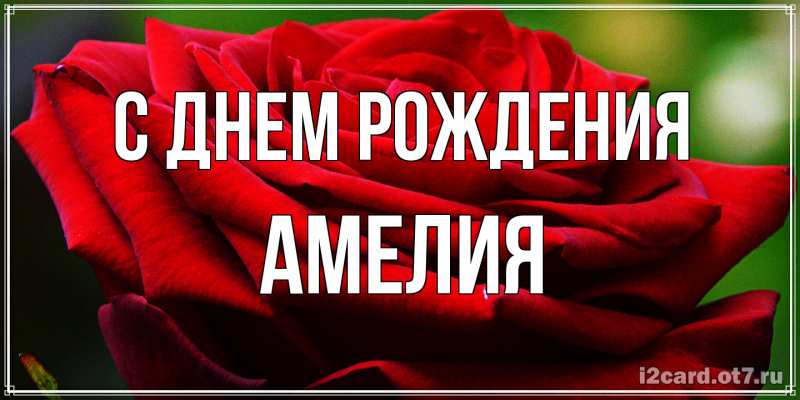 Картинка С днем рождения, Амелия