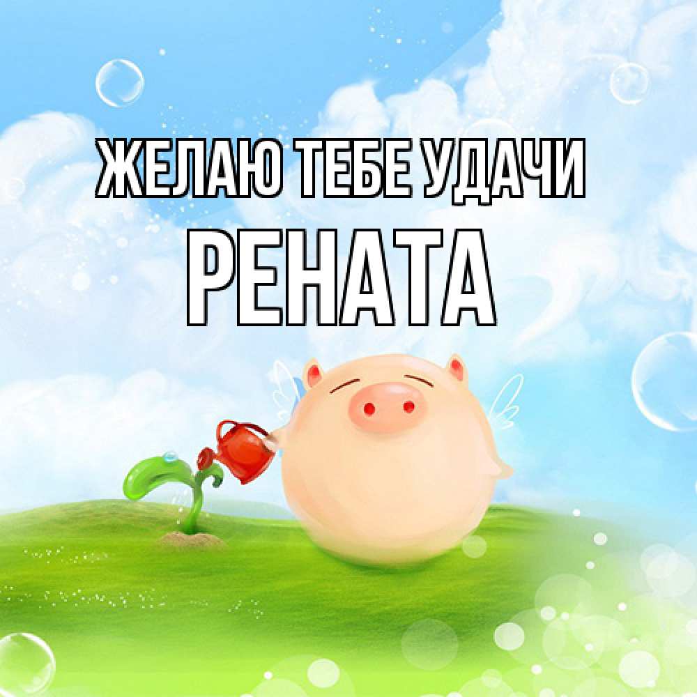 Открытка на каждый день с именем, Рената Желаю тебе удачи поросенок поливает цветок. летнее настроение Прикольная открытка с пожеланием онлайн скачать бесплатно 