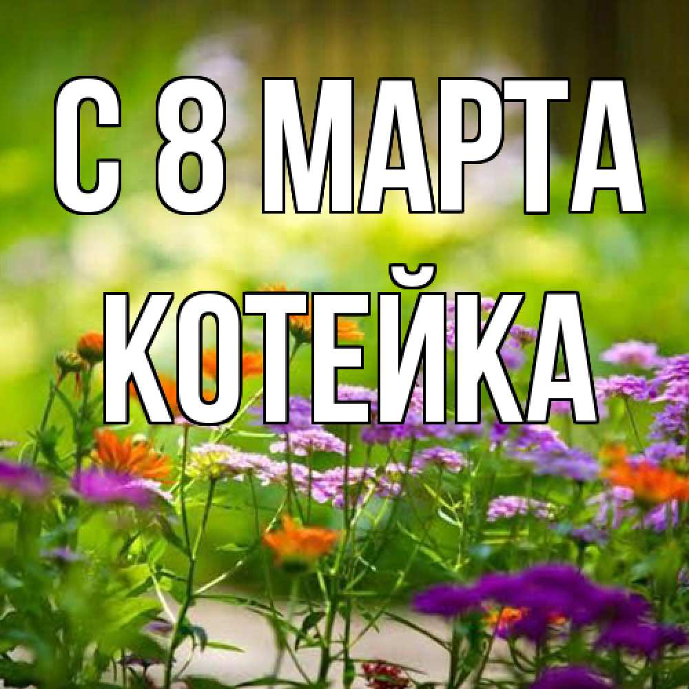 Открытка на каждый день с именем, Котейка C 8 МАРТА цветы Прикольная открытка с пожеланием онлайн скачать бесплатно 