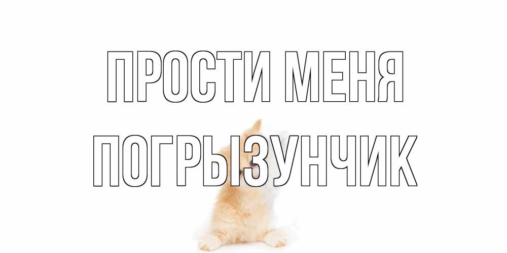 Открытка на каждый день с именем, Погрызунчик Прости меня кот Прикольная открытка с пожеланием онлайн скачать бесплатно 