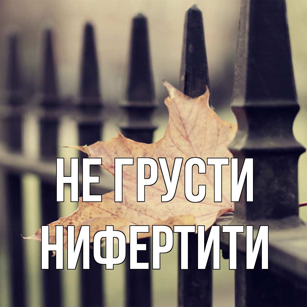 Открытка на каждый день с именем, Нифертити Не грусти лист клена Прикольная открытка с пожеланием онлайн скачать бесплатно 