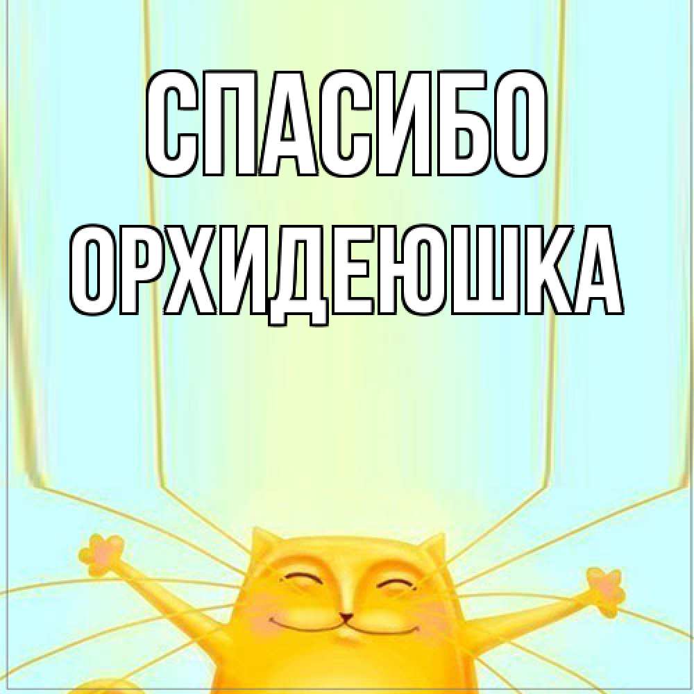 Открытка на каждый день с именем, Орхидеюшка Спасибо кот с усами благодарит Прикольная открытка с пожеланием онлайн скачать бесплатно 