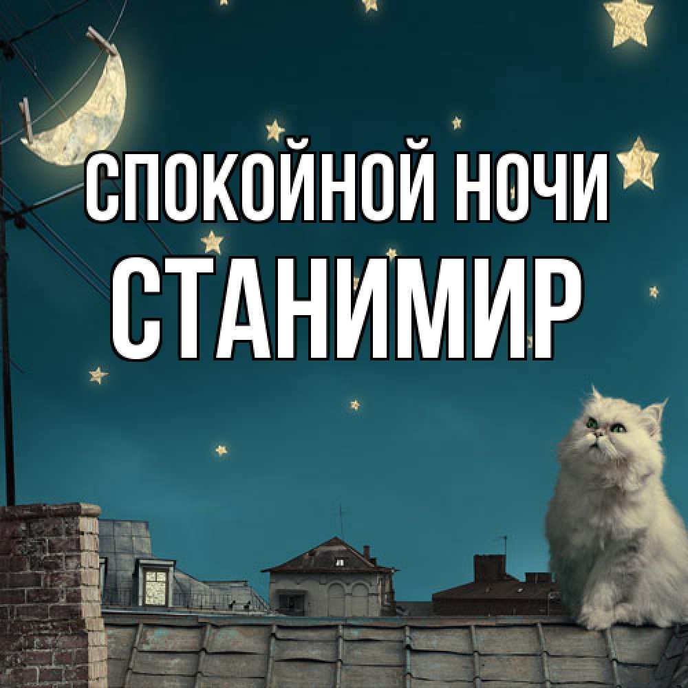 Открытка на каждый день с именем, Станимир Спокойной ночи белый кот сидит на крыше Прикольная открытка с пожеланием онлайн скачать бесплатно 