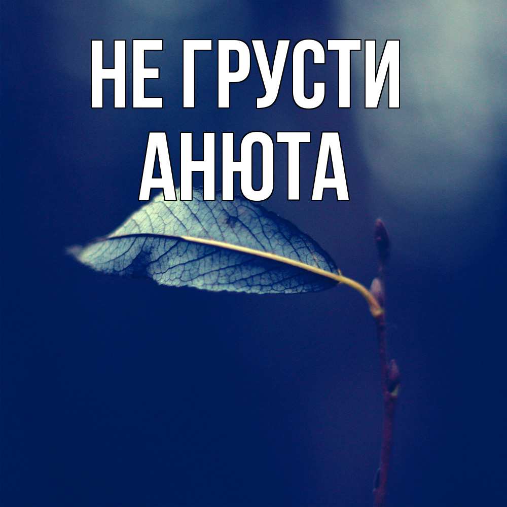 Открытка на каждый день с именем, Анюта Не грусти растение Прикольная открытка с пожеланием онлайн скачать бесплатно 