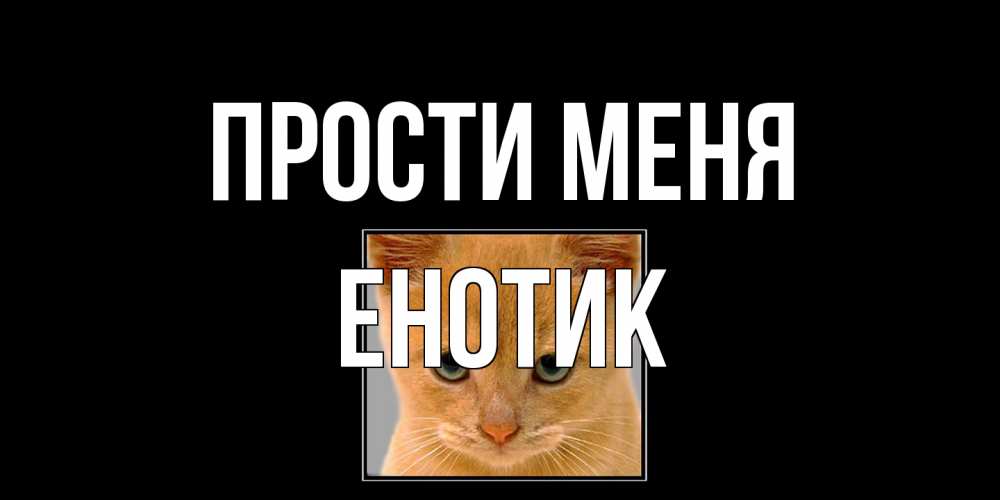 Открытка на каждый день с именем, Енотик Прости меня рыжий грустный кот просит прощения Прикольная открытка с пожеланием онлайн скачать бесплатно 