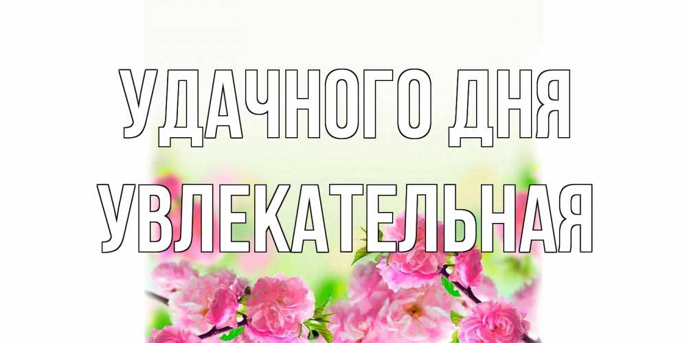 Открытка на каждый день с именем, Увлекательная Удачного дня цветы Прикольная открытка с пожеланием онлайн скачать бесплатно 
