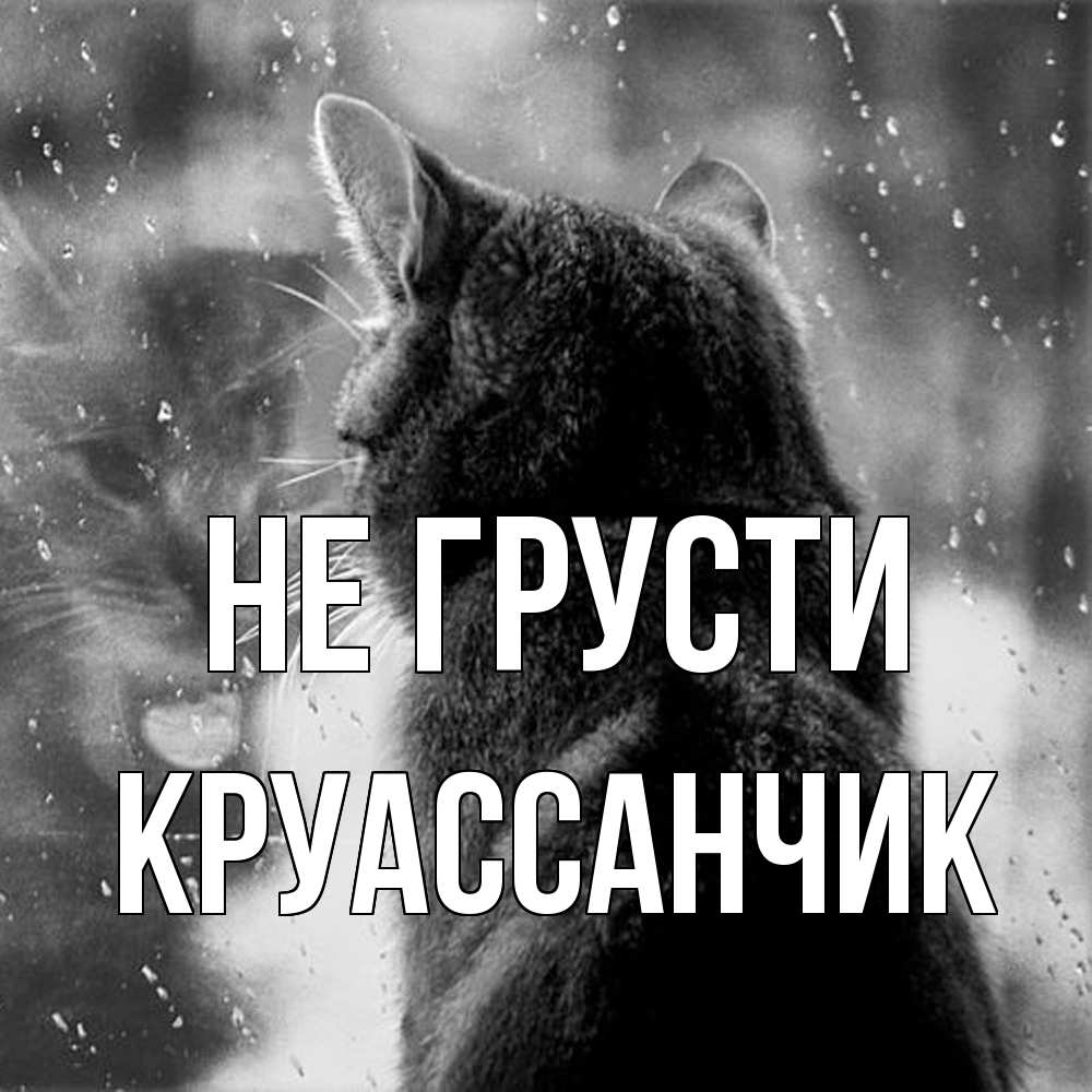 Открытка на каждый день с именем, круассанчик Не грусти отражение кота 1 Прикольная открытка с пожеланием онлайн скачать бесплатно 