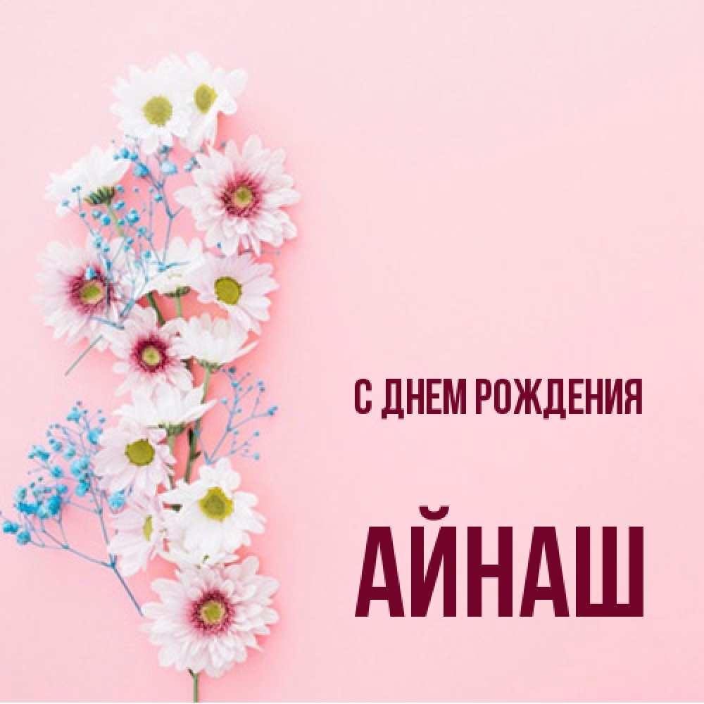 Открытка на каждый день с именем, Айнаш С днем рождения Родная моя с днем рождения тебя картинка с цветами белыми и голубыми Прикольная открытка с пожеланием онлайн скачать бесплатно 