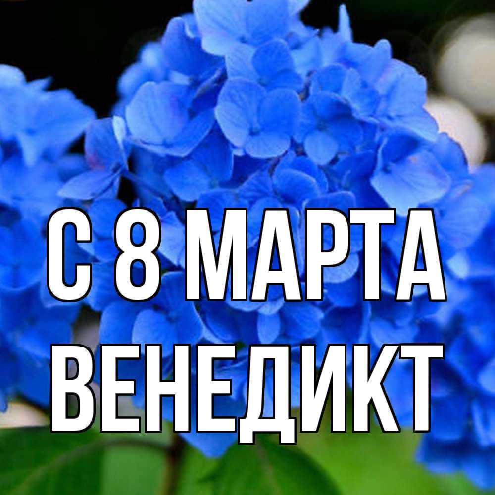 Открытка на каждый день с именем, Венедикт C 8 МАРТА синие цветы Прикольная открытка с пожеланием онлайн скачать бесплатно 