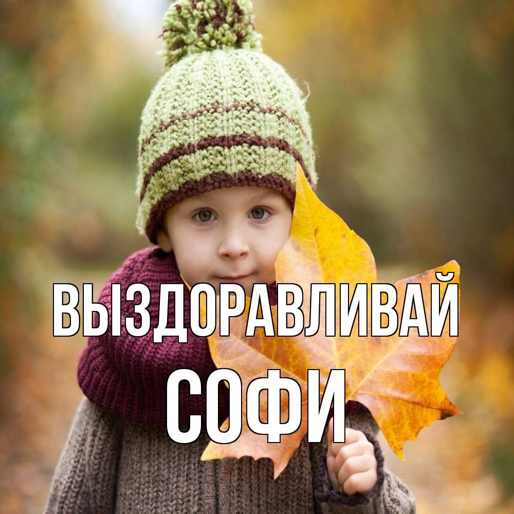 Открытка на каждый день с именем, Софи Выздоравливай дышим свежим воздухом Прикольная открытка с пожеланием онлайн скачать бесплатно 