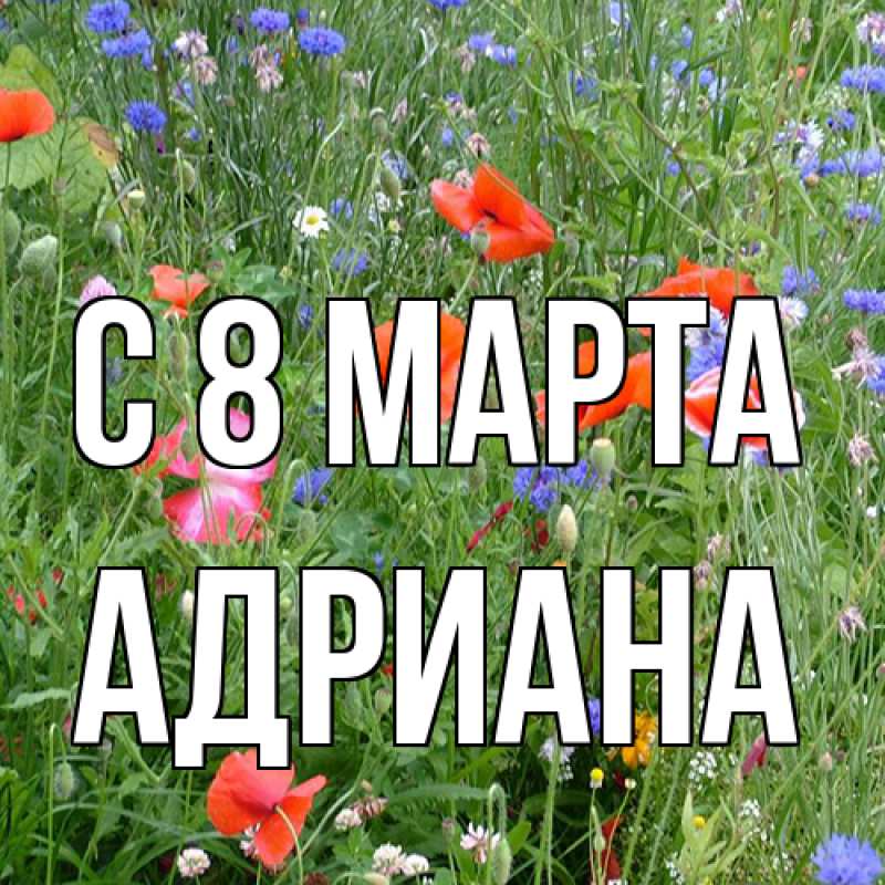Картинка C 8 МАРТА, Адриана
