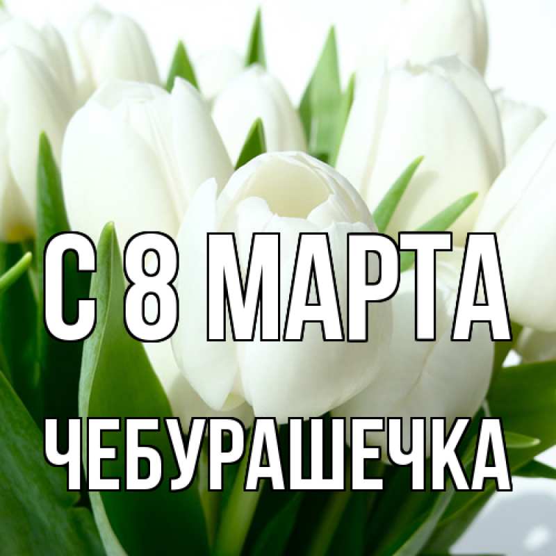 Картинка C 8 МАРТА, Чебурашечка