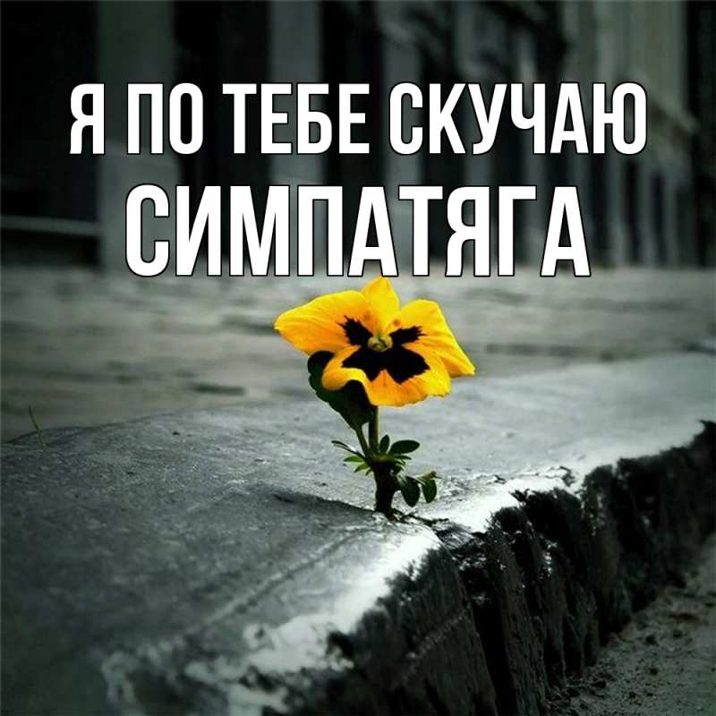 Картинка Я по тебе скучаю, Симпатяга