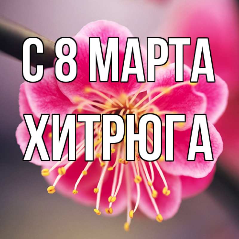 Открытка с именем, хитрюга, C 8 МАРТА