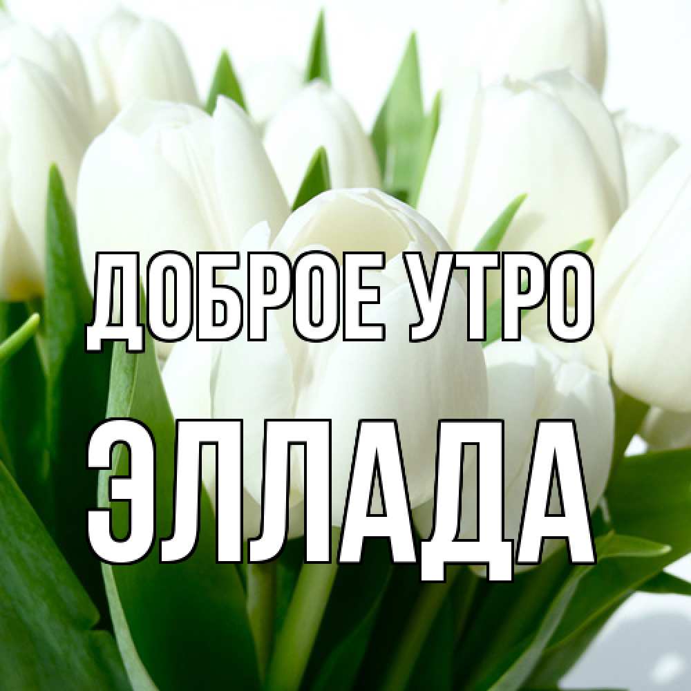 Открытка на каждый день с именем, Эллада Доброе утро открытки на каждый день по именам Прикольная открытка с пожеланием онлайн скачать бесплатно 