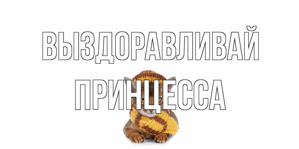 Открытка на каждый день с именем, Принцесса Выздоравливай родные не болейте Прикольная открытка с пожеланием онлайн скачать бесплатно 