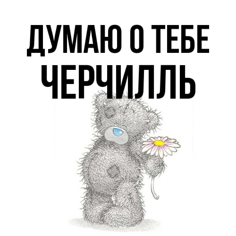 Открытка на каждый день с именем, Черчилль Думаю о тебе мысли только о тебе Прикольная открытка с пожеланием онлайн скачать бесплатно 