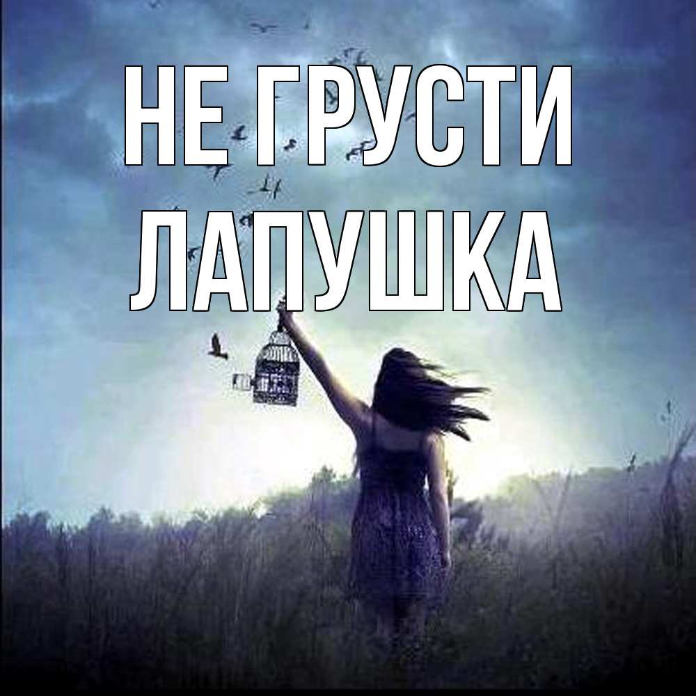 Открытка на каждый день с именем, лапушка Не грусти на волю Прикольная открытка с пожеланием онлайн скачать бесплатно 