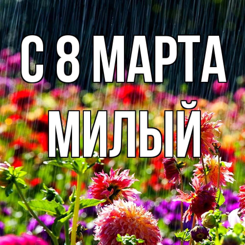 Открытка на каждый день с именем, Милый C 8 МАРТА цветы под дождиком к международному женскому дню Прикольная открытка с пожеланием онлайн скачать бесплатно 
