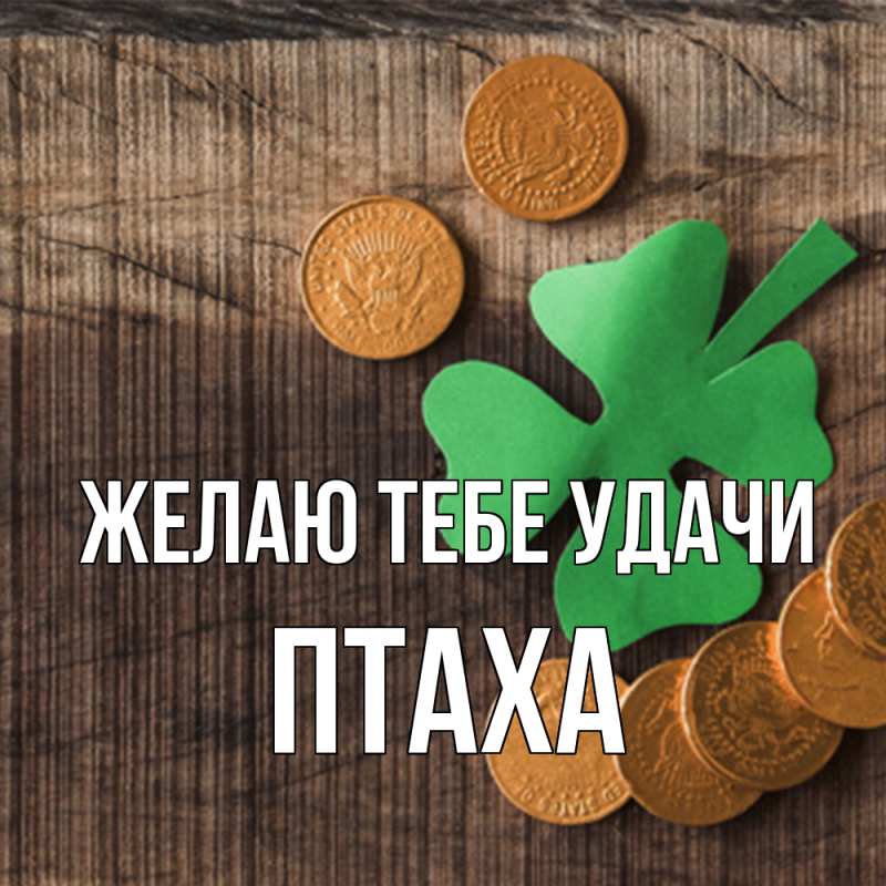 Картинка Желаю тебе удачи, Птаха