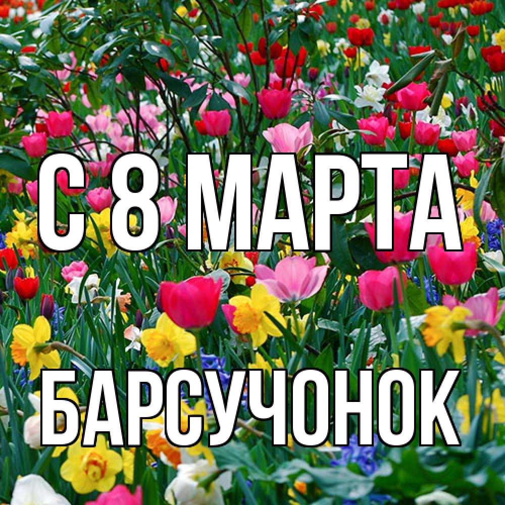 Открытка на каждый день с именем, Барсучонок C 8 МАРТА с международным женским днем поздравления для женщины Прикольная открытка с пожеланием онлайн скачать бесплатно 