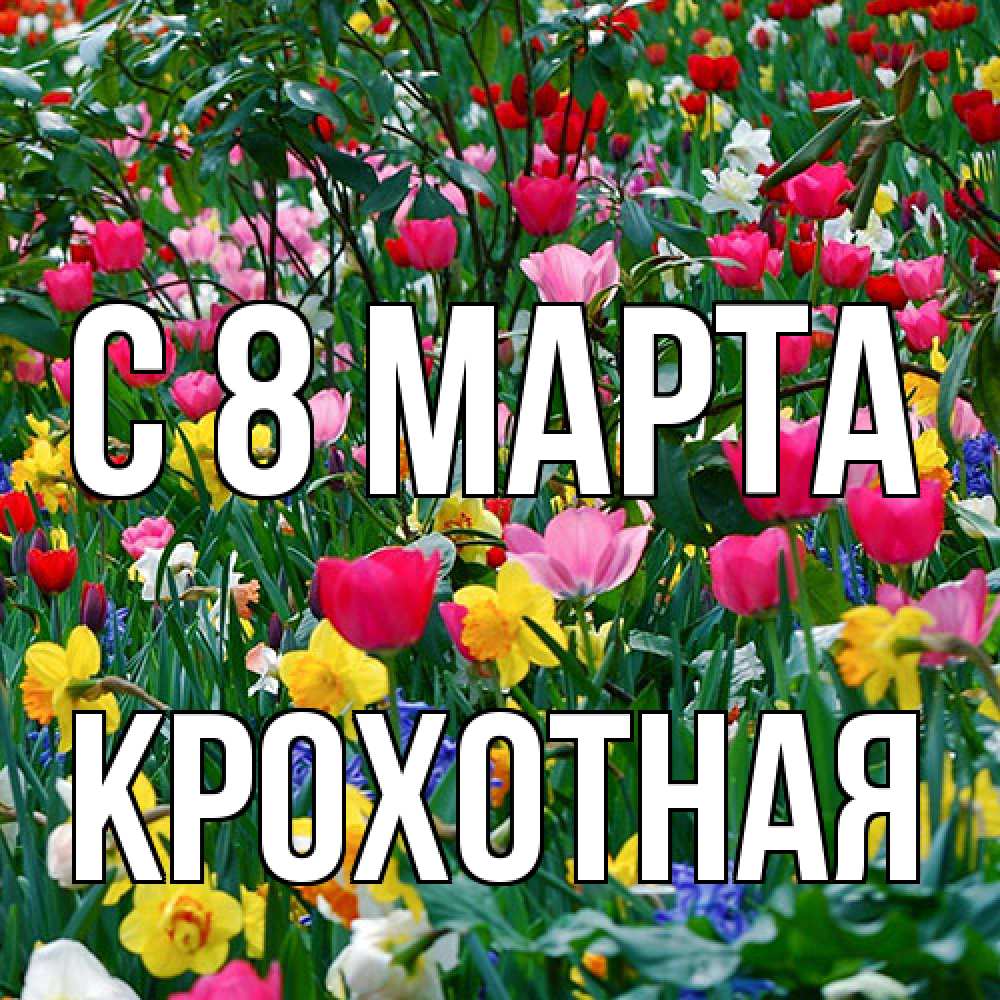 Открытка на каждый день с именем, Крохотная C 8 МАРТА с международным женским днем поздравления для женщины Прикольная открытка с пожеланием онлайн скачать бесплатно 