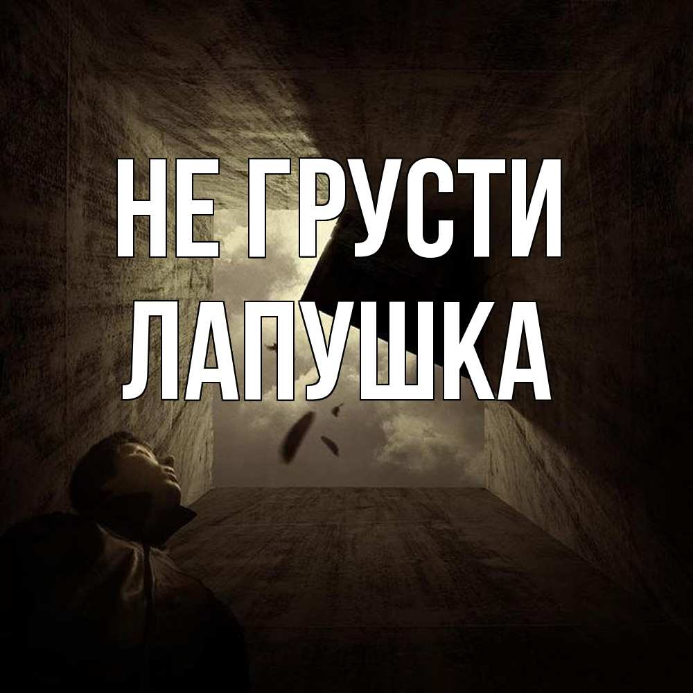 Открытка на каждый день с именем, лапушка Не грусти жуть Прикольная открытка с пожеланием онлайн скачать бесплатно 