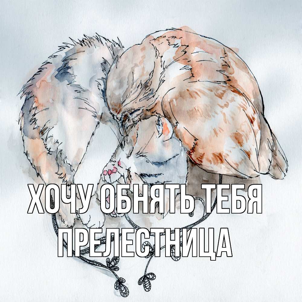 Открытка на каждый день с именем, пpелестница Хочу обнять тебя можно быть вместе даже когда очень разные Прикольная открытка с пожеланием онлайн скачать бесплатно 