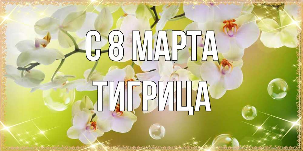 Открытка на каждый день с именем, Тигрица C 8 МАРТА открытка с цветами на международный женский день Прикольная открытка с пожеланием онлайн скачать бесплатно 