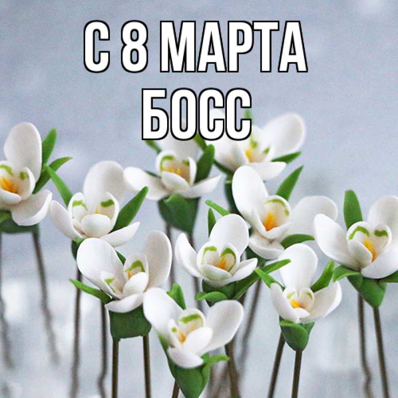 Картинка C 8 МАРТА, Босс