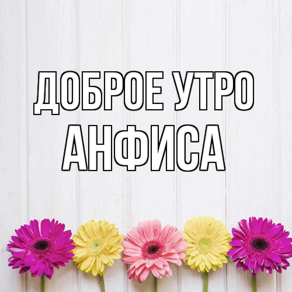 Открытка на каждый день с именем, Анфиса Доброе утро красный желтый и розовый цветок Прикольная открытка с пожеланием онлайн скачать бесплатно 
