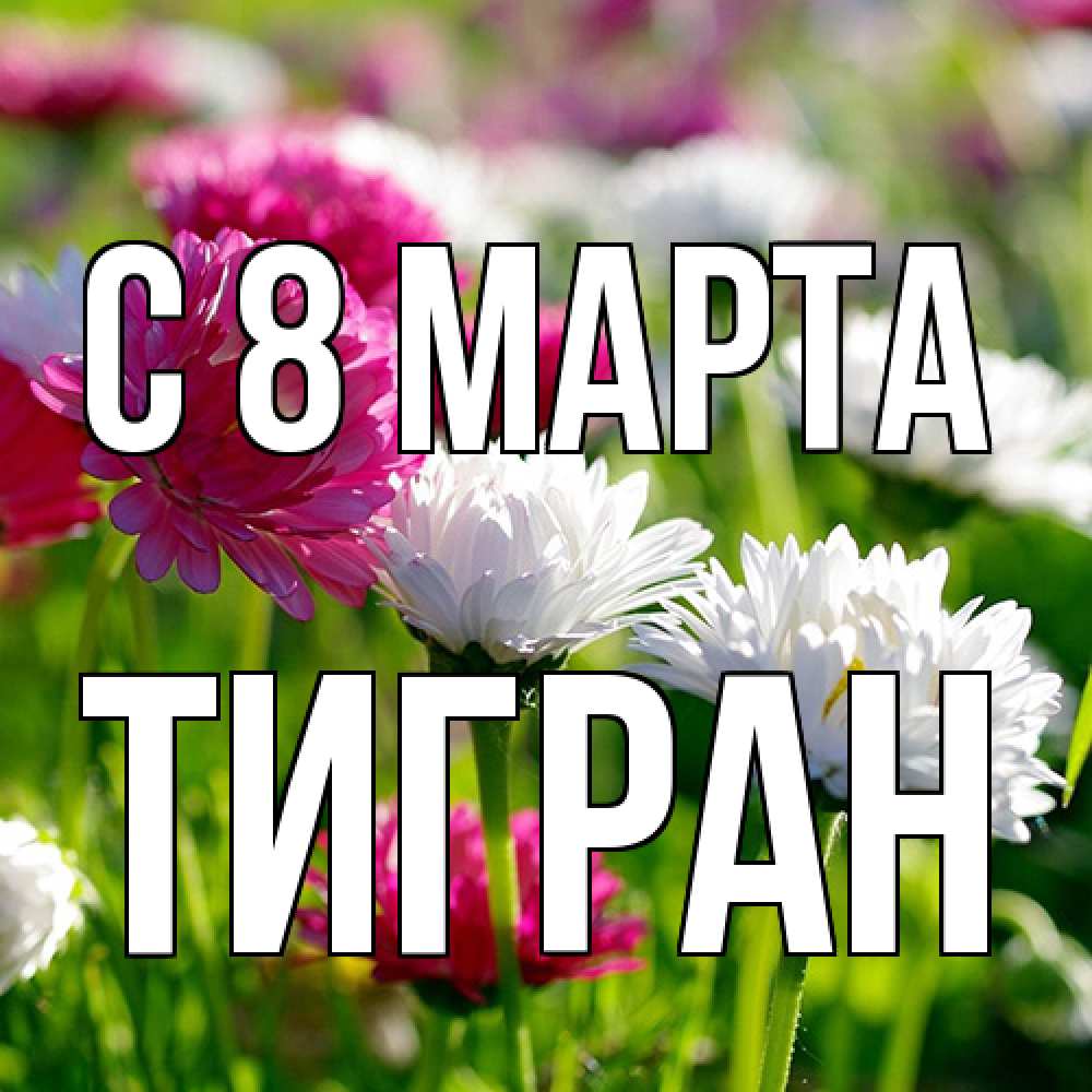 Открытка на каждый день с именем, Тигран C 8 МАРТА международный женский день 1 Прикольная открытка с пожеланием онлайн скачать бесплатно 