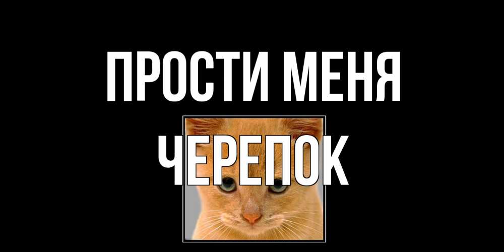 Открытка на каждый день с именем, Черепок Прости меня рыжий грустный кот просит прощения Прикольная открытка с пожеланием онлайн скачать бесплатно 