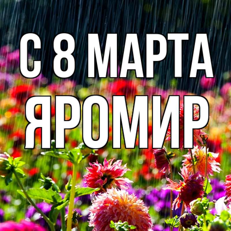 Картинка C 8 МАРТА, Яромир