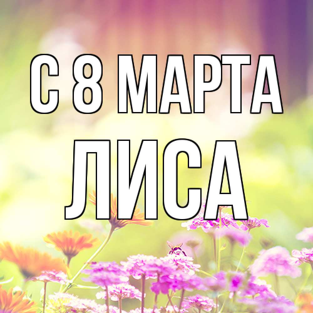 Открытка на каждый день с именем, лиса C 8 МАРТА цветы весна Прикольная открытка с пожеланием онлайн скачать бесплатно 