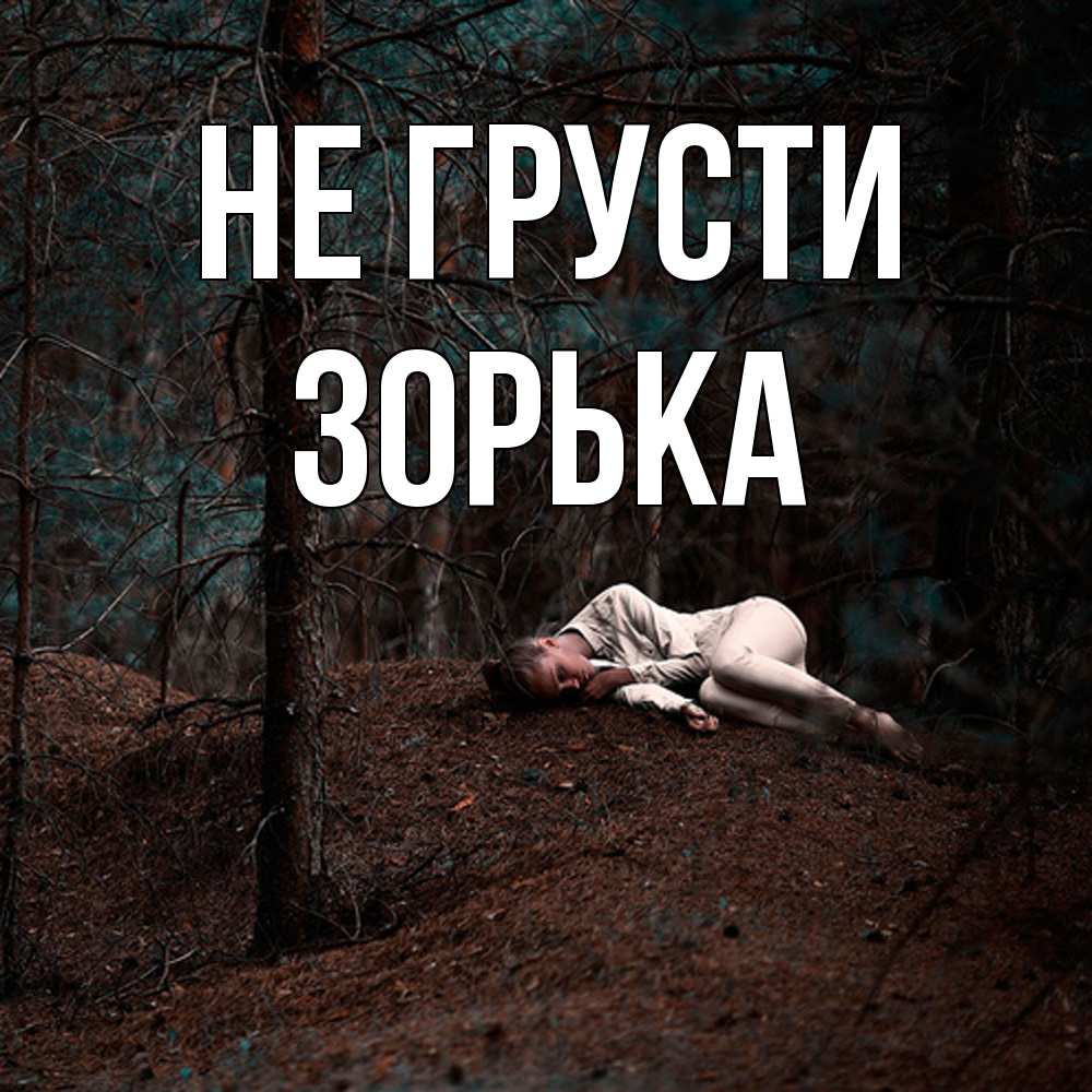 Открытка на каждый день с именем, Зоpька Не грусти лес Прикольная открытка с пожеланием онлайн скачать бесплатно 