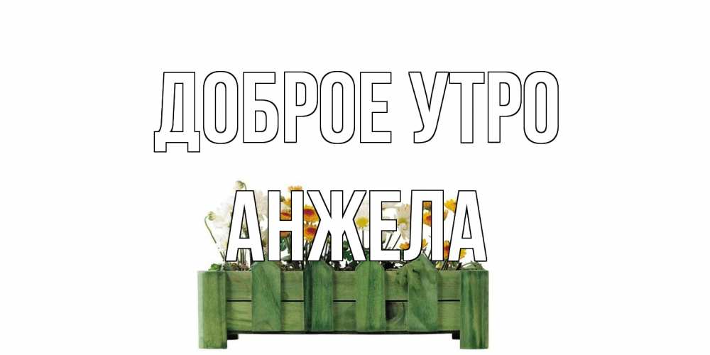Открытка на каждый день с именем, Анжела Доброе утро цветы Прикольная открытка с пожеланием онлайн скачать бесплатно 
