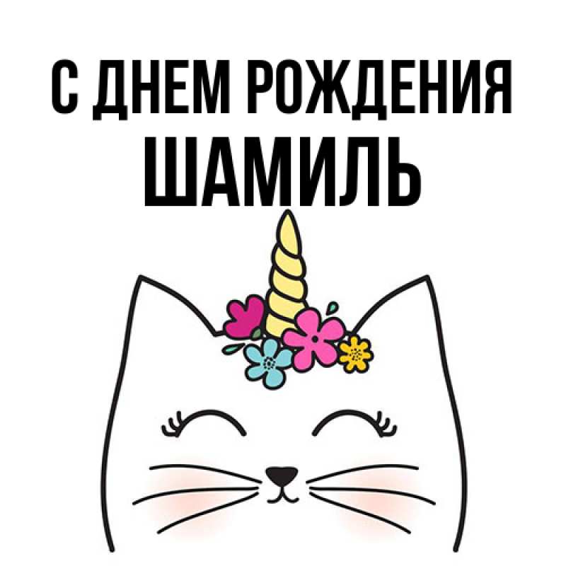 Картинка С днем рождения, Шамиль
