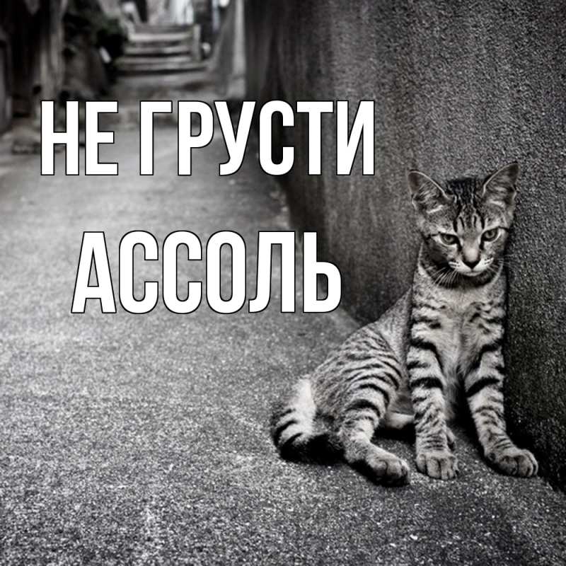Картинка Не грусти, Ассоль