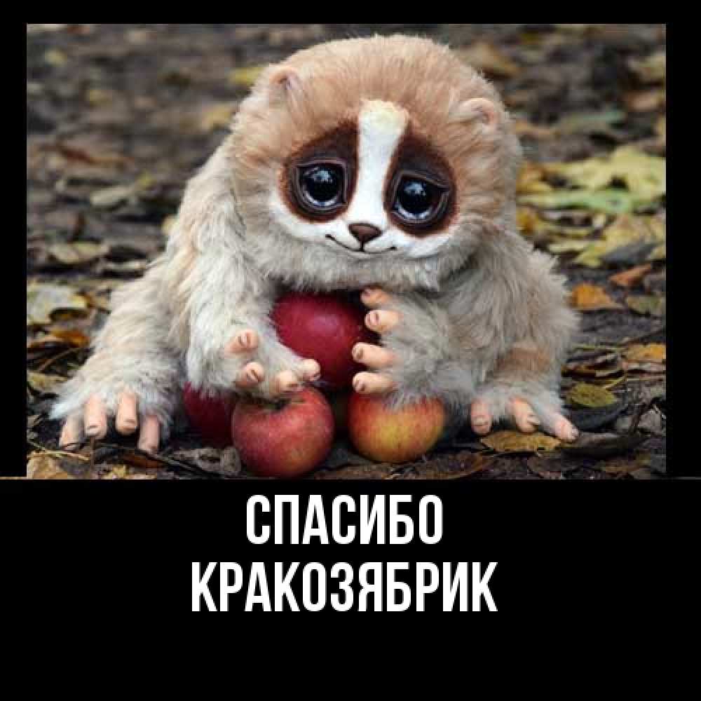 Открытка на каждый день с именем, Кракозябрик Спасибо прикольное животное Прикольная открытка с пожеланием онлайн скачать бесплатно 