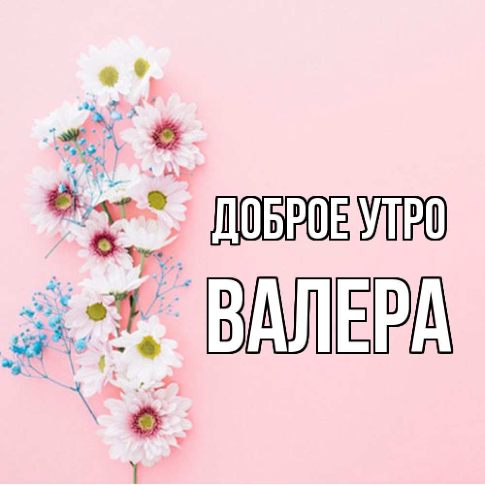 Открытка на каждый день с именем, Валера Доброе утро цветы с подписью Прикольная открытка с пожеланием онлайн скачать бесплатно 