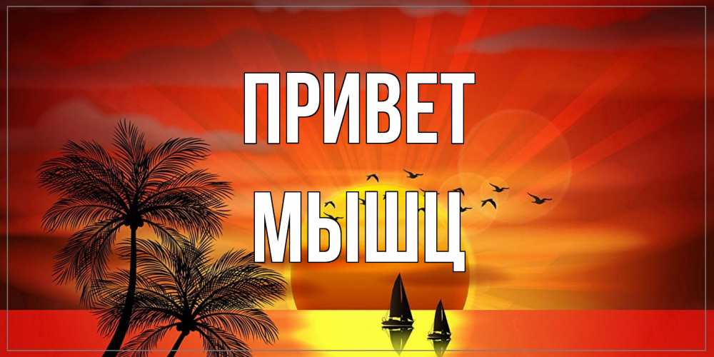Открытка на каждый день с именем, Мышц Привет привет Прикольная открытка с пожеланием онлайн скачать бесплатно 
