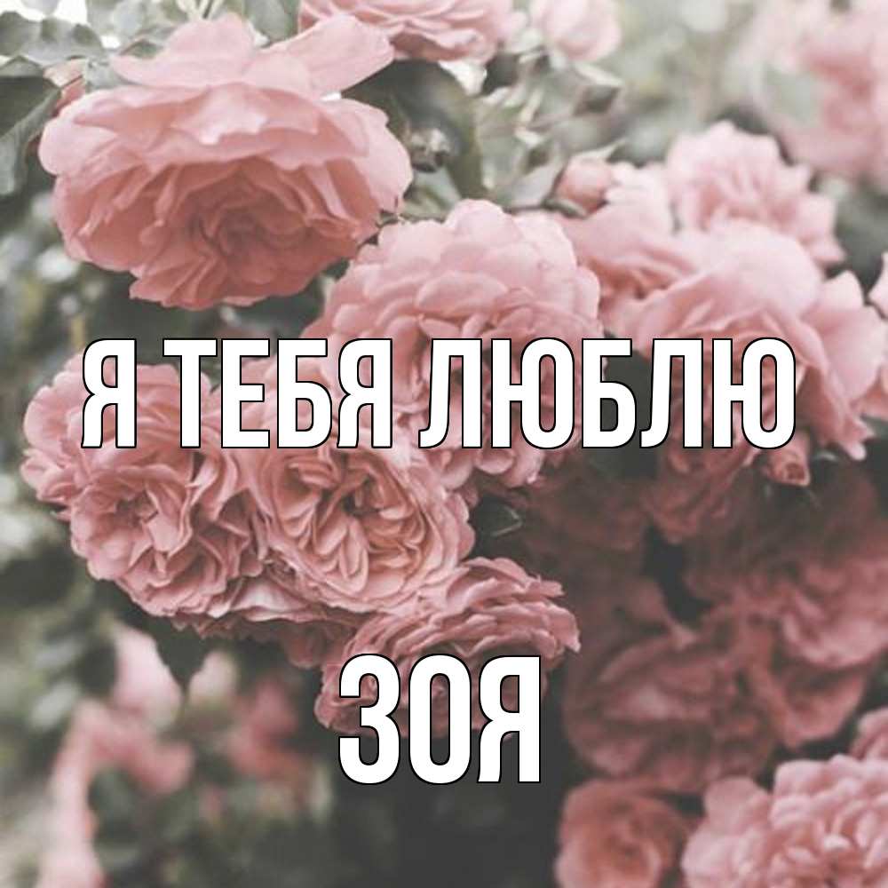 Открытка на каждый день с именем, Зоя Я тебя люблю розы 3 Прикольная открытка с пожеланием онлайн скачать бесплатно 
